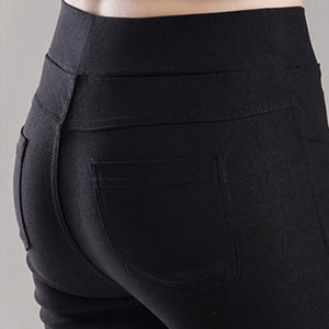 Jean Cut Elastic Stretch Pencil Pant